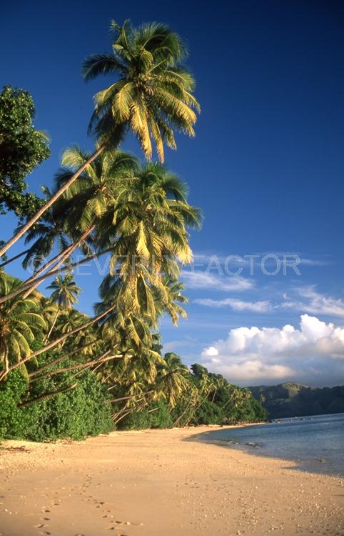 Island;fiji;blue water;sky;palm trees;sand;shore line